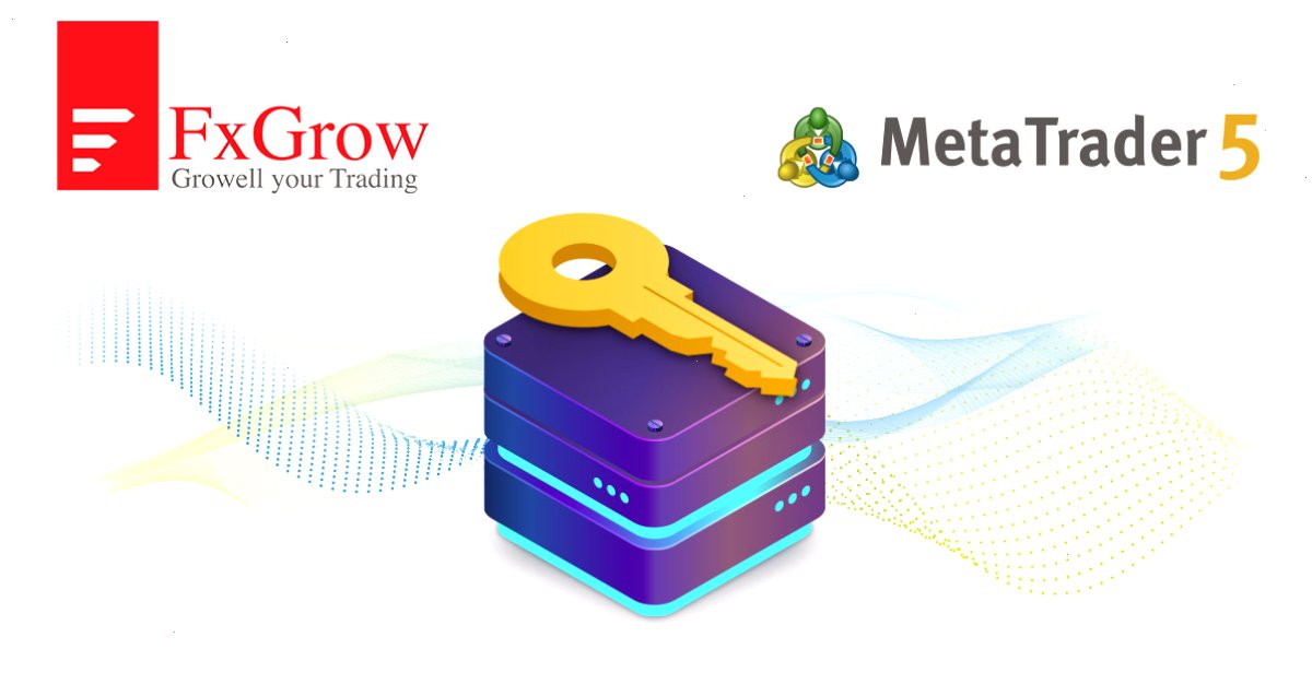 FxGrow Limited：\"MetaTrader 5访问服务器主机服务拥有其他提供商无法比拟的优势\"（封面配图）